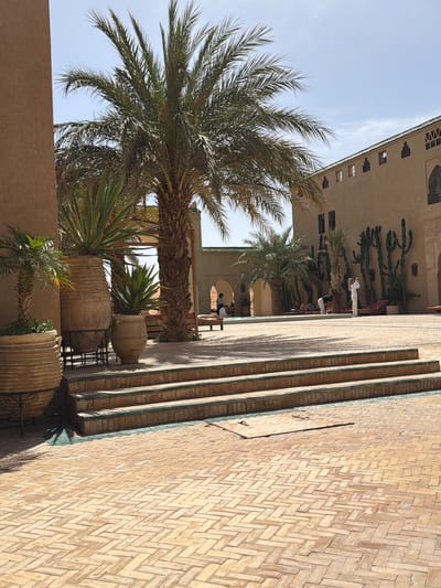 The image captures a courtyard scene, likely within a historic building in Rissani, Morocco. The scene is dominated by a large date palm tree on the left, its fronds reaching towards a bright, clear sky. The building is visible in the background, constructed with light-colored stone and adorned with geometric patterns.  A series of arches can be seen along the courtyard wall. Several people are visible in the background, some appearing to be tourists. Three sets of shallow steps are visible in the foreground, lining the building's edge. A paved area, constructed with a herringbone pattern using light-colored bricks, stretches toward the right side of the image. Several large terracotta pots holding plants are placed along the courtyard wall, adding a touch of greenery.  Wrought iron details are visible around the base of the pots.  The overall impression is one of historical architecture combined with natural elements in a sun-drenched environment.