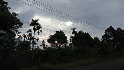 This image depicts a rural roadside scene in Meunasahuket, Indonesia, during a cloudy day. The foreground features a dark asphalt road running from the bottom right corner towards the left, bordered by a grassy verge. Beyond the verge, dense tropical foliage and numerous palm trees dominate the landscape. The trees are silhouetted against a dramatic sky filled with overcast clouds, with a break in the clouds allowing some sunlight to filter through. Power lines are visible strung across the upper portion of the frame, running horizontally from left to right. The overall impression is one of a tropical, perhaps humid, environment under a moody sky.