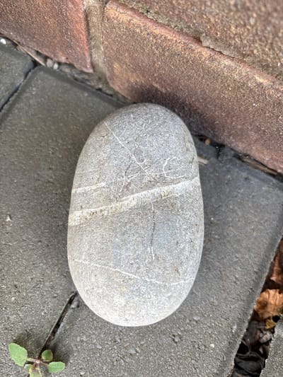 A smooth, grey, oval-shaped stone sits on a paving stone surface. The stone has striations running through it. The paving stones are grey and textured. Adjacent to the grey paving stones are bricks of a reddish-brown hue. A small green plant grows in a crack between the paving stones. The location, Minsterley, United Kingdom, cannot be confirmed from the image. No people or interactions are visible.