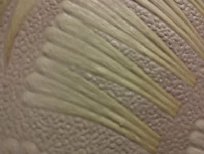 The image shows a close-up of a textured surface, likely wallpaper, with a pattern of radiating lines and raised bumps. The color palette is muted, consisting of beige, light brown, and a pale yellow. The lines appear to be raised and run diagonally across the frame, forming a fan-like or shell-like design. Between these lines, the surface is covered in a granular, bumpy texture. The lighting is soft, casting subtle shadows that emphasize the texture of the surface. There are no people, animals, or any specific objects clearly identifiable within the frame. The image has a shallow depth of field, with some areas appearing more in focus than others, creating a slightly blurred effect.
This image does not depict anything specific to Konstantinovo, Russia. It is a generic close-up of a textured surface.