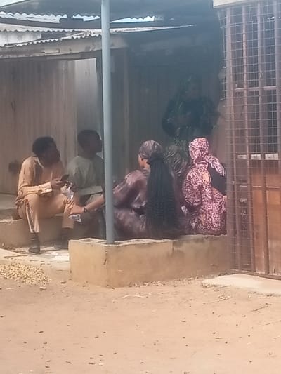 The image displays an outdoor scene in Kanti, Nigeria, featuring five individuals. In the foreground, an expanse of dirt ground is visible, with a small pile of light-colored, oval-shaped objects, possibly peanuts, on the lower left. Two males are seated on concrete steps to the left of the frame. The male on the far left wears a light tan long-sleeved top and matching trousers, holding a dark-colored smartphone in his left hand and a small white packet in his right. He is wearing dark shoes. Next to him, a second male is seated, wearing a light green or olive-colored top.
In the midground, a low, light brown concrete structure with a vertical grey pole rising from it separates the foreground from the background. Three females are positioned to the right of this pole. Two females are seated on the concrete structure; one faces away from the viewer, revealing long, dark braided hair and a dark purple or maroon garment. The second seated female, next to her, wears a patterned red, black, and white garment, with her head covered. A third female stands in the background, partially obscured by the other individuals and the concrete structure, wearing a dark green patterned outfit.
The upper portion of the image shows a corrugated metal roof structure. To the far right, a vertical metal grate or gate is partially visible. The background consists of darker, indistinct building elements. No direct interaction between all individuals is clearly discernible.