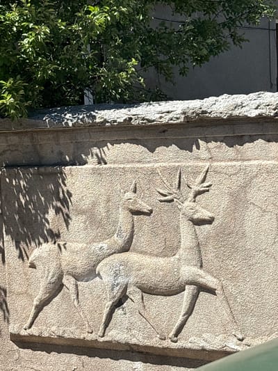 The image depicts a stone relief carving of two deer on a textured wall. The deer are positioned side-by-side, with the one on the right appearing to be larger and having antlers, suggesting it is a male. The relief is carved into a light-colored stone, and the texture of the stone is visible. Above the relief, there is a rough stone ledge, and further above that, green foliage from a tree casts dappled shadows onto the stone wall. The background consists of a plain, gray building surface. This stone relief is located on the wall of the Jermuk Gallery of the National Gallery of Armenia, in Jermuk, Armenia.