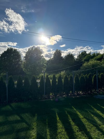 In the city of Zhostovo, Russia, this image captures a backyard scene under a bright, sunlit sky dotted with fluffy white clouds. A line of manicured evergreen trees forms a hedge along a metal fence. Beyond the hedge, mature trees create a dense green backdrop. Sunlight streams through the clouds, casting distinct shadows of the fence posts and branches across a neatly mowed lawn. A small pink ball rests on the grass in the lower left portion of the frame. The overall impression is one of a serene, well-maintained outdoor space bathed in the warm glow of the sun.