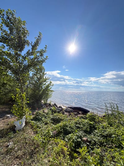 The image depicts a natural scene by a body of water, likely a lake or sea, under a bright, sunny sky with scattered clouds. The sun is prominently visible in the upper right quadrant, casting a strong glare on the water's surface, which is rippling. The shoreline is rocky and overgrown with lush green vegetation, including various types of leafy plants and grasses.

In the foreground, a young deciduous tree is planted in a white plastic pot with visible branding on its side. To the left of the tree, a metallic cup or bowl rests on the ground. Further along the shoreline, several dark, rounded rocks are visible, some partially submerged in the water. Partially visible, resting on the rocks near the water's edge, is a deflated black inflatable object, possibly a raft or boat, with the brand name "Bestway" clearly legible.

The background shows a vast expanse of water meeting the horizon, with a faint line of land or more distant clouds in the far distance. The overall impression is one of a serene, natural environment, perhaps a park or a less-developed recreational area. The presence of the planted tree in a pot, the discarded cup, and the deflated inflatable suggest human presence and activity in the area. The scene appears to be located in Lebedivka, Ukraine, a location known for its natural beauty and proximity to water bodies.