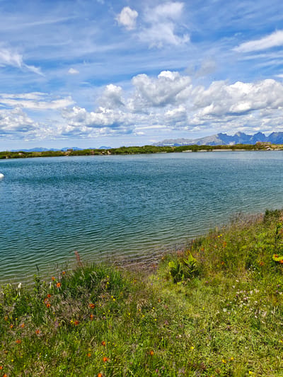 A scenic, wide-angle shot captures a tranquil mountain lake under a bright blue sky adorned with scattered white clouds. The foreground is a vibrant expanse of green grass and wildflowers, with pops of red, orange, and yellow adding color to the lush meadow. The lake, a deep blue, occupies the majority of the frame, its surface rippled by a gentle breeze. In the distance, a low, green shoreline separates the lake from a range of majestic, blue-tinged mountains, their peaks softened by atmospheric haze. On the far shore, a few small structures are visible, hinting at human presence in this serene natural setting. The overall impression is one of serene beauty and natural grandeur. The image is likely a photograph taken in the vicinity of Kirchberg in Tirol, Austria, known for its stunning alpine landscapes.