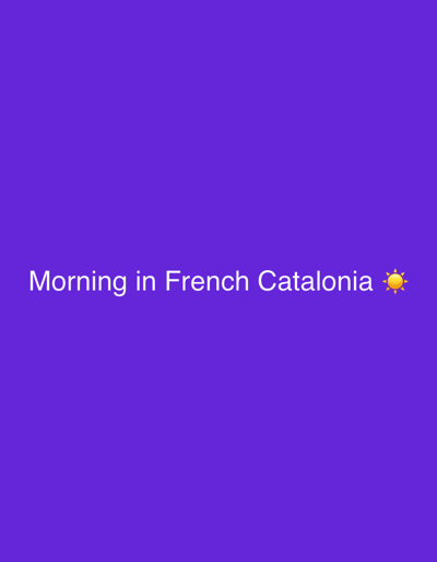 The image shows a solid purple background with the text "Morning in French Catalonia ☀️" in white, centered horizontally and vertically. There are no people, objects, or environmental details present except for the sun emoji. There is no information within the image to identify the city of Rodès, France.