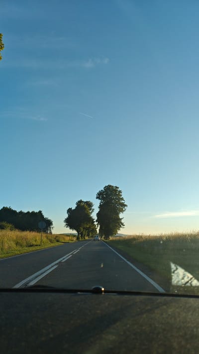 The image shows a view from inside a vehicle looking out at a road in Stanowice, Poland. The road is paved and has white lane markings. On either side of the road are grassy fields and trees. Two large trees are prominently featured, one on each side of the road, creating an avenue effect. In the distance, a white car is driving away from the camera. The sky is clear and blue with a faint contrail from an airplane. The sun is low in the sky, casting a warm glow on the scene. The lower part of the image shows the dashboard and windshield of the vehicle.