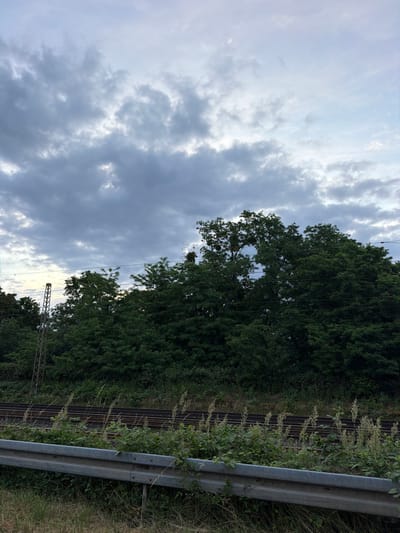 This is a vertical, medium-shot photograph of a cloudy sky above a densely wooded area. In the foreground, a metal guardrail runs horizontally across the bottom of the frame, separating a grassy embankment from what appears to be a railway track. The guardrail is made of corrugated metal and shows signs of weathering and minor damage. Behind the guardrail, a set of train tracks is visible, with ballast and vegetation growing between the rails. A tall, lattice-like metal pole, possibly for electrical transmission, stands to the left of the frame, partially obscured by trees. The trees themselves are lush and green, forming a thick canopy that dominates the middle and upper portions of the image. The sky is filled with heavy, grey clouds, with some patches of lighter sky and hints of sunlight breaking through. The scene evokes a sense of natural beauty within an industrial or semi-urban environment. This scene could be located near a railway line on the outskirts of Magdeburg, Germany.