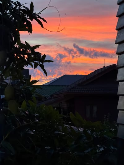 The image captures a vibrant sunset over a residential area in Vientiane Capital, Laos. Silhouetted against the fiery orange and pink sky are the dark green leaves of a tree in the foreground, with what appears to be jackfruit hanging from its branches. Two houses with dark tiled roofs are visible behind the foliage, one with a lightning rod on its peak. To the right, the edge of a building with a textured facade is partially visible. The overall impression is one of a peaceful evening scene in a tropical urban environment.