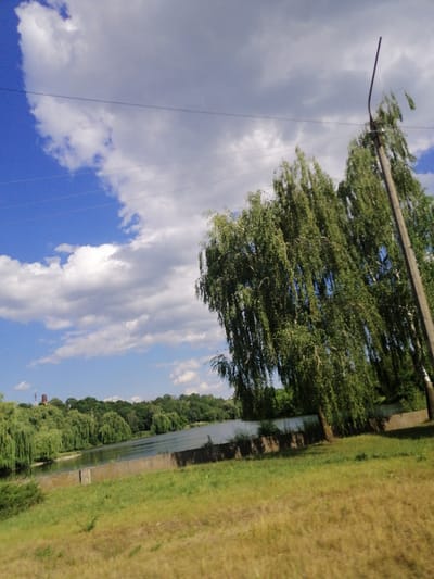 This is a landscape photograph taken on a sunny day with scattered clouds in the sky, suggesting it might be late morning or early afternoon. The scene depicts a serene natural setting, likely a park or a body of water, with lush green vegetation. In the foreground, a grassy slope leads down towards a calm body of water, possibly a lake or river. The water's surface reflects the sky and the surrounding trees, creating a peaceful ambiance.

Along the edge of the water, a line of dense, green trees, some appearing to be weeping willows due to their drooping branches, forms a natural barrier. Further in the background, the tree line continues, creating a verdant backdrop. On the left side of the background, a tall industrial structure, possibly a chimney or a tower, is visible above the trees, hinting at the proximity of a town or industrial area.

Dominating the mid-ground and right side of the image are two tall trees with flowing, green foliage, one of which is leaning significantly. A weathered, concrete lamppost stands tall next to these trees, its dark, curved arm reaching upwards. Several power lines are stretched across the sky, intersecting the view of the clouds and trees. The overall mood of the image is tranquil and natural, with a touch of human infrastructure present in the form of the lamppost and the distant structure. There is no visible text in the image. The location context of Lanivtsi, Ukraine, suggests this might be a scene from a local park or waterfront area in or near the town.