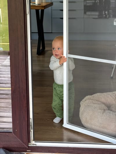 An infant is peeking out from behind a screen door at floor level. The infant is wearing a light gray long-sleeved shirt and green pants with a dinosaur pattern. They are looking to the left of the frame with their mouth open. The infant is standing on a wooden floor. Behind the infant, a large, fluffy, light brown pet bed is visible. The screen door is white and has horizontal bars across it. To the left of the screen door is a dark brown door frame. In the background, a table with a white roll of paper on it and a white cabinet are visible. The scene appears to be indoors, possibly in a home in Борисьево Днп, Russia.