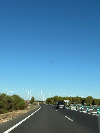The image captures a view from a highway, with a dark-colored SUV in the foreground traveling on the asphalt road. The road is marked with white lines and lined with green and white traffic cones. In the background, a line of wind turbines are visible against a clear blue sky. Lush green bushes and trees line the sides of the highway, with some pink and white flowering plants interspersed. A sign indicating "212" is present on the right side of the road. The scene suggests an open, possibly rural, environment. The presence of wind turbines indicates a location that likely utilizes renewable energy.