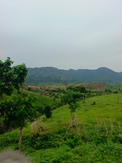 The image presents a landscape scene in what appears to be the Kaninkon area of Nigeria. The foreground is dominated by lush green vegetation, including trees and dense undergrowth. The middle ground consists of rolling hills covered in green grass, sparsely populated with trees and patches of brown, potentially indicating cleared land. In the background, a range of mountains stretches across the horizon. The sky is overcast, with a uniform grey color. There are no visible people or immediate signs of habitation. The environment suggests a rural, agricultural area.