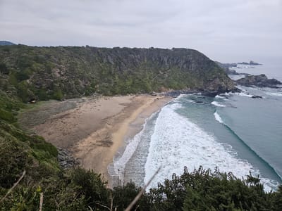 The image shows a panoramic view of a beach in Hualpén, Chile. The beach, framed by a steep, green, and rocky cliff on the left and the ocean on the right, stretches across the scene. The sandy beach transitions from dry sand closer to the cliff to wet sand near the water's edge. Waves are breaking on the shore, creating white foam. The water extends towards the horizon, where rocky formations protrude from the sea. Above, the sky is overcast with a uniform, grey cloud cover. The foreground includes shrubbery, suggesting the vantage point is from atop a cliff overlooking the beach. A yellow earthmover is visible near the cliff.