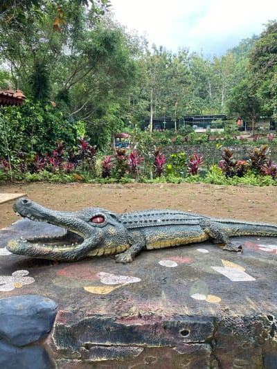 A concrete sculpture of a crocodile with its mouth open is lying on a large, flat concrete rock. The rock is painted with a variety of colors and patterns, including red, yellow, and white. The crocodile is facing the right side of the frame, with its tail extending to the left. The sculpture is in a park with a variety of trees and shrubs. There is a small pond and a grassy area in the background, with a building visible in the distance. There are no people present in the scene. The location is a park in Kecamatan Manyaran, Indonesia, with coordinates -7.826, 110.816. The ground is covered in dirt and leaves. The day is overcast. The sculpture is weathered and cracked.