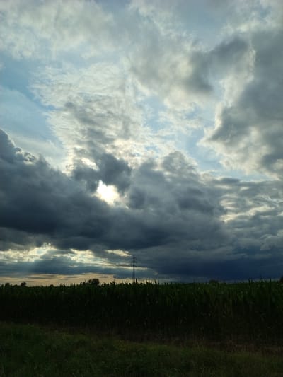 The image depicts a landscape scene in Nové Dvory, Czechia. The foreground is dominated by a dense field of green corn stalks, with a strip of grass in front of it. In the background, a line of trees and a single, tall electrical pylon are visible against a dramatic sky filled with dark, heavy clouds interspersed with patches of lighter sky where the sun is breaking through. The overall impression is one of an impending storm or the aftermath of one, with the landscape cast in shadow and the sky a mix of light and darkness.