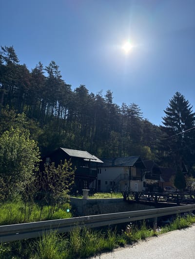 The image captures a sunny day in Vrnjacka Banja Municipality, Serbia. The sun shines brightly in a clear blue sky, casting light on a hillside covered in tall pine trees. A few houses are nestled amongst the trees, with one appearing to have a dark grey roof and possibly solar panels. A metal guardrail runs along the edge of a road in the foreground. The road is paved with grey asphalt. Green grass and other vegetation grow between the guardrail and the road.