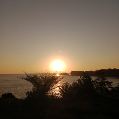 This is a photograph taken at dusk in Crakmong, Indonesia. The scene depicts a serene coastal landscape bathed in the warm glow of the setting sun. In the foreground, silhouetted by the sunset, are dark, leafy bushes and trees that obscure the ground. Beyond these, a calm body of water stretches towards the horizon. The sun, a bright, radiant orb, is low in the sky, casting a shimmering path across the water's surface. In the distance, a dense line of trees forms a dark silhouette along the coastline, with a small island or landmass visible to the right of the sun. The sky above is a soft gradient of warm orange and pale yellow, transitioning to a muted grey at the top of the frame, indicating the day's end. There are no people or animals visible in the image.