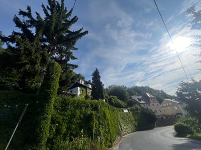 A sunlit, upward-angled, wide-angle view captures a winding asphalt road curving to the right, bordered by a dense, verdant green ivy-covered retaining wall on the left. Above the wall, several European-style houses with pitched roofs and windows are visible, nestled amongst lush green trees on a hillside. The sky is a bright blue, streaked with wispy white clouds, and the sun shines brightly, creating lens flare and casting a strong glare on the right side of the frame. Power lines are visible crossing the sky. The scene appears to be set in a residential area on a slope. The location is the Poisental district of Freital, Germany, specifically near the top of the Poisental slope.