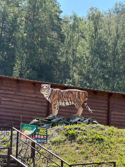 In Izvestkovyi, Russia, a concrete statue of a tiger stands prominently on a grassy hill. The tiger, detailed with orange fur and black stripes, is positioned atop a small mound of stones. Behind the tiger, a rustic wooden fence serves as a backdrop. Attached to the fence, to the left of the tiger statue, is a sign with a red border depicting flames and what appears to be a burning forest. Text on the sign includes "БЕРЕГИТЕ ЛЕС ОТ ПОЖАРА" (Protect the forest from fire) and the emergency number "112". The surrounding environment consists of lush green trees, likely a forest, under a clear blue sky. In the foreground, a metal railing with decorative elements suggests a pathway or staircase leading towards the area.