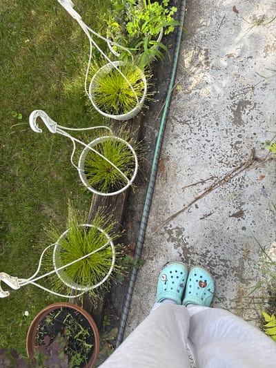The image shows a person wearing light blue Crocs with cartoon charms and white socks, standing on a concrete surface. The person is wearing light-colored pants, partially visible. The scene appears to be outdoors, with grass and various plants in pots.
In the foreground, three white hanging planters are visible, each containing a green, spiky plant. One planter is mostly in frame, while the other two are partially visible. The planters have white rope hangers with hooks. To the right of the hanging planters, a brown terra cotta pot holds a mix of green plants.
The concrete surface has an irregular texture and is scattered with dry leaves and twigs. A green garden hose runs along the edge of the concrete, separating it from the grassy area. In the background, there are more green plants and some dry vegetation. The lighting suggests it is daytime, likely sunny given the shadows. The overall impression is an outdoor garden setting.
There is no visible text in the image. The location context provided is Balivka, Ukraine. The image captures a moment of someone in a garden, possibly tending to plants or simply enjoying the outdoor space.