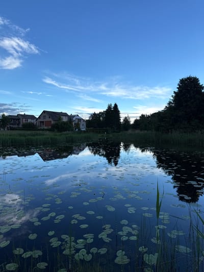 The image shows a tranquil lakeside scene at dusk in the city of Biržai, Lithuania. The sky is a deep blue with wispy white clouds, reflecting on the dark, still water. Lily pads are scattered across the surface of the lake, with some reeds growing along the edge in the foreground. In the background, several houses are visible, nestled amongst lush green trees. The reflections of the houses and trees are clearly visible in the water, adding to the serene atmosphere of the image. The overall impression is one of peaceful natural beauty.