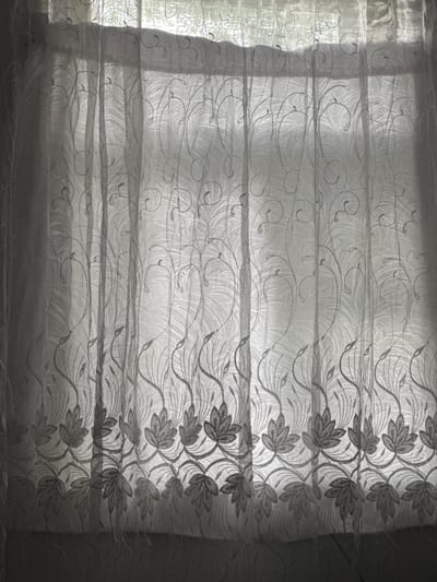 The image shows a close-up view of sheer white Roman blinds with an embroidered floral and vine pattern. The blinds are drawn, creating horizontal folds. Sunlight streams through the blinds from the left, casting shadows and illuminating the intricate embroidery. The pattern features delicate, swirling vines and stylized leaves arranged in a vertical repeat along the right side of the frame. The texture of the fabric is visible, with a subtle pattern of woven threads creating a feathery or leafy effect in the background of the embroidery. The light creates a soft, diffused atmosphere. The overall impression is one of gentle light filtering through decorative fabric, suggesting a peaceful indoor setting. No people, text, or specific location cues beyond the implied interior are visible. The light suggests it could be daytime, possibly morning or late afternoon.