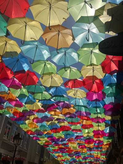 This media file displays an art installation featuring a vibrant canopy of colorful umbrellas suspended above a street. The umbrellas, in various shades of red, yellow, green, blue, pink, and orange, are arranged in a dense, overlapping pattern, creating a visually striking and cheerful display. They are suspended from wires, casting dappled shadows on the scene below.
The scene appears to be a public street or walkway, with buildings visible in the background. The architecture suggests an urban setting, possibly in a European town. The time of day is likely daytime, indicated by the sunlight filtering through the umbrellas and the bright colors. The weather appears to be fair, with no rain or wind evident. The overall mood conveyed is one of joy and festivity, likely part of a larger event or ongoing exhibition. The location context provided is Águeda, Portugal, a place known for its annual "AgitÁgueda" festival where similar umbrella installations are famously displayed.
There is no visible text in the image. The focus is entirely on the artistic arrangement of the umbrellas and their impact on the surrounding environment.