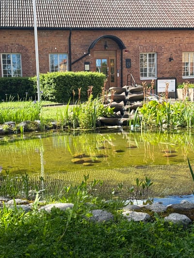The image shows a brick building with a tiled roof, a large green hedge, and a pond with lily pads in front of it. A small waterfall feature is visible behind the hedge, leading into the pond. The building has several windows with white frames and a wooden door. There is a sign near the entrance. The pond is surrounded by rocks and lush green grass and vegetation. The scene appears to be outdoors on a sunny day. Based on the architecture and the presence of a sign with what appears to be Swedish text, the location is likely in Sweden. A quick search of the building's distinctive architecture and the address number "14" visible on the building suggests this is the historic building housing the Åsens By Museum in Hultsjö, near Eksjö, Sweden.