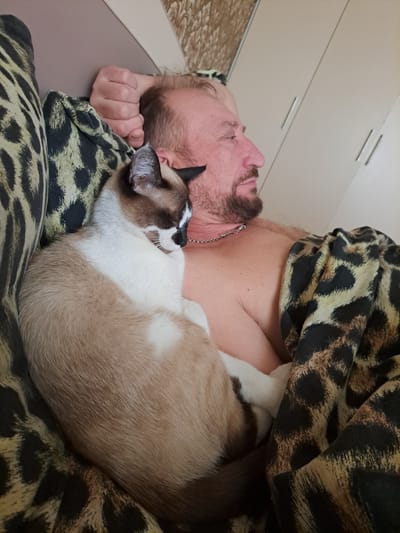 In Prigorodnoye, Kyrgyzstan, a man and a cat are in a bed. The man is lying on his back, with his head resting on a pillow. His left arm is bent at the elbow and his hand is resting on his head. He has a beard and is looking to the right. A Siamese cat is curled up on his chest, with its head resting on his shoulder. The cat is white and brown, with black markings on its face and ears. The bed is covered with a leopard-print blanket. The room appears to be a bedroom, with a wardrobe visible in the background.