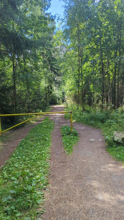 The image depicts a dirt path in a forest. A yellow metal gate obstructs the path, which appears to be closed. The path is lined with lush green vegetation on either side, and tall trees with dense foliage form a canopy overhead, allowing sunlight to filter through. The overall impression is one of a serene, natural setting. The location is identified as Larkollen, Norway.