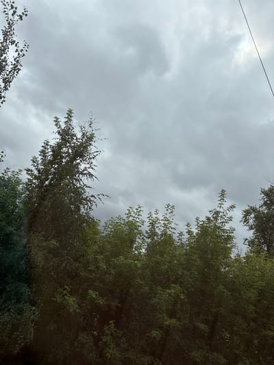 The image depicts a cloudy sky above a dense canopy of green trees. A thin black wire runs diagonally across the upper right portion of the frame. The overall lighting suggests an overcast or pre-storm condition. The location is identified as Rodniki, Russia.