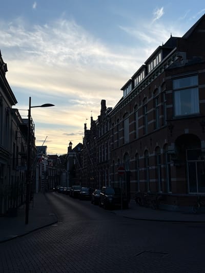 This image captures a street scene in 's-Hertogenbosch, Netherlands, likely during the late afternoon or early evening as indicated by the soft, warm light filtering through the clouds. The perspective is from a street level, looking down a cobblestone road lined with traditional brick buildings. On the right side of the street, a prominent brick building with multiple windows and decorative architectural elements is visible, its façade catching the fading light. To the left, other buildings are also present, creating a sense of an urban canyon.
Several parked cars are lined up along the right side of the road, their silhouettes dark against the illuminated sky and buildings. Bicycles are also parked near the building on the right. A street lamp with a distinctive, curved arm is positioned on the left side of the road, casting a shadow on the cobblestones. The sky above is a mix of blue and pale yellow hues, with wispy clouds creating a textured ceiling to the scene. Flags are visible on some of the buildings in the distance, adding a touch of cultural detail. The overall atmosphere is tranquil and somewhat atmospheric due to the lighting and the stillness of the scene.