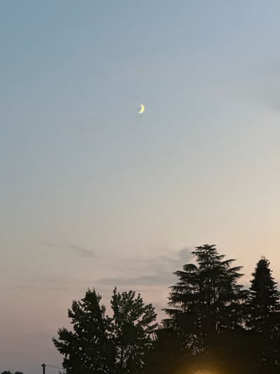 The image depicts a crescent moon in a pale blue sky. Below the moon, silhouetted against a soft pink and peach sunset, are the tops of several trees. The trees are varied in shape, with some appearing more coniferous and others more deciduous. The sky transitions from a clear blue at the top to warmer hues near the horizon. There are no people or specific landmarks visible that would indicate the city of Ponteterra, Italy. The scene appears to be an outdoor landscape at dusk.