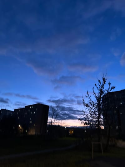 This image displays an urban twilight scene in Voskresensk, Russia. The sky occupies the upper two-thirds of the frame, exhibiting a deep blue hue overhead that transitions to a lighter blue. Scattered, horizontally-aligned dark grey clouds are present across the sky, with a faint band of orange-pink light visible along the distant horizon, suggesting either dawn or dusk.

In the midground, multiple dark-silhouetted multi-story residential buildings are visible on both the left and right sides of the frame. Several windows within these buildings show faint internal illumination, appearing as small, distinct light points. A prominent, leafless or sparsely-foliated tree stands silhouetted against the sky in the mid-right portion of the image. A light-colored, possibly wooden, support structure is visible near the base of this tree. Additional silhouetted trees and vegetation are scattered throughout the midground, located between and in front of the buildings.

The foreground consists of dark ground cover, likely grass or unpaved earth, with a subtly discernible path curving towards the left. In the background, beyond the immediate structures and vegetation, several small, yellowish lights are visible, indicating distant artificial light sources such as streetlights. No individuals are present in the scene, and no discernible actions or interactions are depicted. The overall lighting is low, characteristic of twilight conditions.