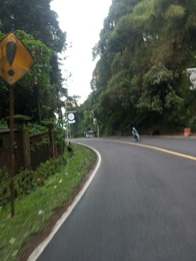The scene depicts a curving asphalt road within the city of Deothang, Bhutan, captured from a moving perspective. The dark gray road features a solid white line on its left edge and a solid yellow line near its center. On the immediate left, a yellow diamond-shaped warning sign with a black exclamation mark is mounted on a brown pole. Behind this sign, a low, moss-covered concrete or stone wall parallels the road, with dense green grass and undergrowth between the wall and the road. Tall, dark green trees line both sides of the roadway, creating a dense forest environment overhead, with an overcast white sky visible through the canopy. In the mid-distance, a lone individual wearing a light blue helmet and dark clothing is riding a bicycle on the right side of the road, moving away from the camera. Further along the curve, indistinct structures are partially visible through the trees on the right, and a circular white sign is discernible above the road on the left.
