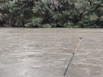 A still, eye-level, medium shot captures a wide, muddy river flowing in front of a dense, green treeline on the far bank. The water's surface is disturbed by ripples and small disturbances, possibly from rain or current. In the foreground, a fishing rod with a reel and a green and orange handle extends into the frame from the lower right corner, angled towards the water. The treeline consists of a variety of green foliage and branches, with some bare branches visible at the top. The overall scene appears to be set in a natural, outdoor environment, likely a riverbank in Ноошкен, Kyrgyzstan, during daytime with overcast conditions.