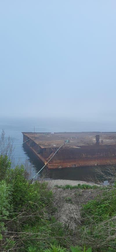 An old, rusted barge floats on calm, misty water near the shore in Slavyanka, Russia. The barge's deck is covered in debris and appears weathered. A thick green rope is tied to the barge and extends towards the foreground. The foreground is densely covered with green foliage and dry, tangled branches. The water is dark and still, reflecting the hazy sky. The overall atmosphere is muted and somewhat desolate due to the fog.