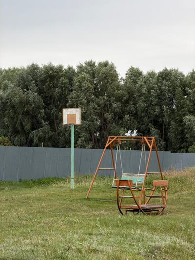 The image shows an outdoor scene with a rusty metal swing set as the main object. The swing set appears to be old and weathered, with a wooden seat that is partially visible. Behind the swing set is a dark grey fence, and beyond the fence, there are tall, lush green trees. To the left of the swing set, a white basketball backboard with a brown square in the center is mounted on a green pole. The ground is covered in green grass, which appears somewhat overgrown. The sky is a pale, overcast white, suggesting a cloudy day. The image is taken from a slightly elevated angle, looking down and across the scene. The overall impression is one of a somewhat neglected outdoor recreational area. No people are visible in the image, and no text is present. The setting appears to be a rural or suburban backyard in Malayevka, Russia. The weather seems to be overcast and possibly damp, given the slightly muted colors and the texture of the grass. The scene evokes a sense of quietness and possibly nostalgia due to the aged appearance of the swing set and the overgrown grass.