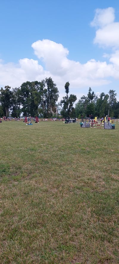 The image depicts an outdoor equestrian event taking place on a grassy field in Žagariškiai, Lithuania. The sky is blue with scattered white clouds. In the background, a line of trees forms a dense green backdrop, with a stone structure partially visible among them. Scattered across the field are various horse jumping obstacles, including poles and colorful decorative elements. Several people are visible in the background, some seated and spectating, while others appear to be involved in the event. One horse and rider are actively participating in a jump in the mid-ground. The foreground is dominated by a wide expanse of mown grass, indicative of an event venue. The overall scene suggests a competition or show with participants and spectators gathered outdoors.