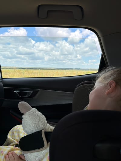 In Verkh. Lipovka, Russia, a child is seen from behind, looking out the window of a car. The child is in a car seat and holding a stuffed animal. Outside the car, a landscape of fields and sky with clouds is visible. The interior of the car, including the door handle and part of the car seat, are also visible.