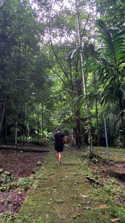 A young person wearing a black outfit walks along a moss-covered stone pathway in Ban Pak Ra, Thailand. The pathway is surrounded by lush green vegetation, with dense trees forming a canopy overhead. A curved streetlight is visible on the left side of the path. A blue pipe runs through the trees behind the person.