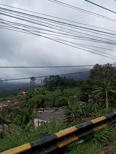 The image displays a panoramic view of a hillside settlement in Saing Ta Mawt Lay, Myanmar, under an overcast sky. The upper portion of the frame is filled with a light grey sky, bisected by multiple dark utility lines running horizontally and diagonally. In the background, distant mountains are obscured by dark grey, dense clouds or mist. The midground showcases a densely vegetated landscape of rolling hills covered with various green trees, shrubs, and banana plants. Numerous residential buildings with dark grey and reddish-brown roofs are nestled among the foliage, some featuring light-colored walls. A distinct, reddish-brown-roofed structure is situated on a higher slope to the left. On a manicured hill section to the right, a cluster of tall, slender conifer trees is visible. Two prominent, tall, slender trees, one appearing bare, stand against the backdrop of the dark clouds. The immediate foreground, on the right, features a black and yellow striped metal guardrail, partially concealed by thick green grass and weeds. No individuals, explicit actions, or interactions are visible.