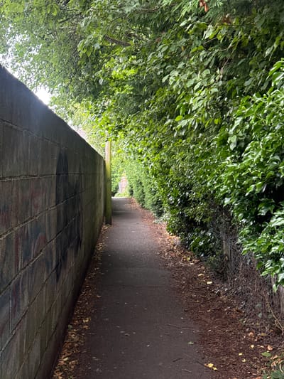 The image depicts a narrow, paved pathway flanked by a concrete wall on the left and dense green foliage on the right. The concrete wall, constructed from large blocks, exhibits graffiti in various dark hues. A wooden lamppost stands near the junction of the wall and the pathway. The foliage appears to be a mix of trees and bushes, creating a canopy that casts shadows on the path. Fallen leaves are scattered along the edges of the pathway and at the base of the foliage. The scene suggests an outdoor urban or suburban environment, possibly a public walkway or a service path. The overall impression is one of a slightly overgrown and somewhat weathered passage, with hints of urban art and natural overgrowth.
