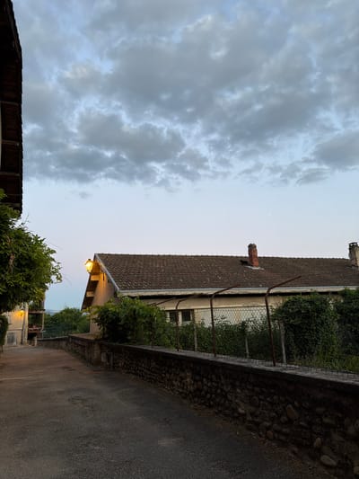The image depicts a street scene in Saint Antoine l'Abbaye, France, characterized by a paved road curving to the left and a low stone wall bordering its right side. Overhead, a cloudy sky dominates the upper portion of the frame. On the left side of the road, a building with dark wooden eaves is partially visible, with lush green foliage growing on its facade. A street lamp illuminates the front of this building. Further down the street, another building with a lit window and green vines is seen. Across the road, a single-story building with a tiled roof features a brick chimney and a fence made of chain-link mesh. Green bushes and vines grow along the fence and the stone wall. A black cat is visible on the roof of the building with the chimney, near its base. The lighting suggests it is dusk or early morning.