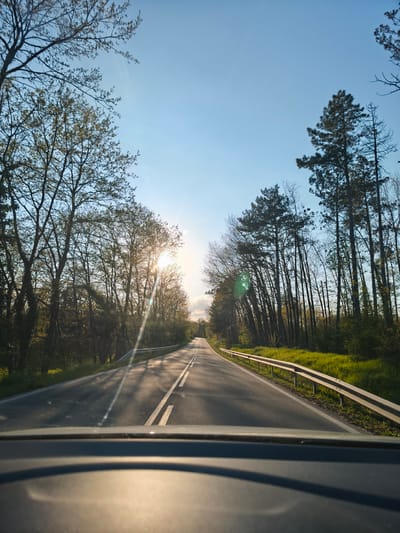 The image shows a view from inside a vehicle driving on an asphalt road. The road is marked with double white lines down the center. On the right side of the road is a metal guardrail. The environment is a forest; trees line both sides of the road. The sun is shining brightly ahead, appearing between the trees. The windshield and dashboard of the vehicle are visible in the foreground. It is not possible to verify the location in the city of Zdravets, Bulgaria, based on the image content.
