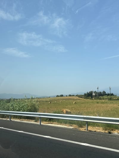 A wide shot captures a rural landscape under a clear blue sky with wispy white clouds. The foreground is dominated by a grey asphalt road with a white lane marker. A silver metal guardrail separates the road from a grassy field. The field is dotted with several round hay bales, some appearing golden brown and others a lighter green. Tall, reedy plants grow in a dense patch to the left of the field. In the middle ground, a cluster of trees hosts two tall telecommunications towers, each topped with antennas. Further in the distance, rolling hills and mountains are visible, their shapes softened by atmospheric haze. The scene appears to be located in the city of Canohès, France, based on the surrounding environment which is characteristic of the region.