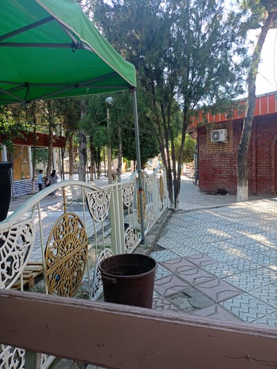 The image captures an outdoor scene in Panjakent, Tajikistan, characterized by a paved walkway and surrounding vegetation. In the foreground, a brown wooden railing is visible. Beyond this, a white ornate metal fence with decorative golden circular inserts separates the walkway from a grassy area. To the left of the fence, a large green canopy extends over an area with seating. The walkway is paved with patterned tiles, some of which appear cracked. Trees with dense foliage are scattered throughout the scene, with sunlight filtering through their branches. In the background, a brick building with an air conditioning unit mounted on it is visible. There are a few people present, including a child in a blue shirt and an adult in a patterned dress, walking on the walkway. A dark brown bucket stands near the fence. The overall impression is that of a public outdoor space, possibly a park or a restaurant seating area, during daylight hours.