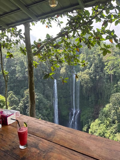 A view from a rustic wooden table overlooking a lush, green forest and a multi-tiered waterfall. The scene is partially framed by a tree branch with green leaves and a roof structure to the left. On the table, there's a glass of red beverage with a straw and a lime wedge, and a napkin holder. The image is taken from an elevated position offering a perspective of nature and a drink on a sunny day.