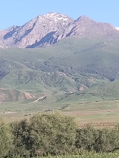 A vertical, medium-shot, full-color photograph captures a mountainous landscape under a clear blue sky, likely in or near Terek-Suu, Kyrgyzstan. The scene is layered, with rugged, snow-capped peaks dominating the upper half of the frame. These mountains display sharp, rocky contours and are partially covered in patches of white snow, particularly on their higher elevations.
Below the peaks, rolling green hills stretch out, marked by undulating terrain, valleys, and gullies. Some areas of the hills appear as darker green, suggesting denser vegetation or forested regions, while others are lighter green and seem to be grassy slopes. Further down, the landscape transitions to flatter terrain with fields of varying colors, possibly agricultural land. Faint structures or buildings are barely discernible in the distance on the plains.
In the foreground, dense, leafy green trees and bushes create a natural border, obscuring the very bottom of the image. The sunlight suggests it is daytime, casting shadows on the mountain slopes and illuminating the scene. The overall impression is one of a vast, natural, and somewhat remote wilderness.